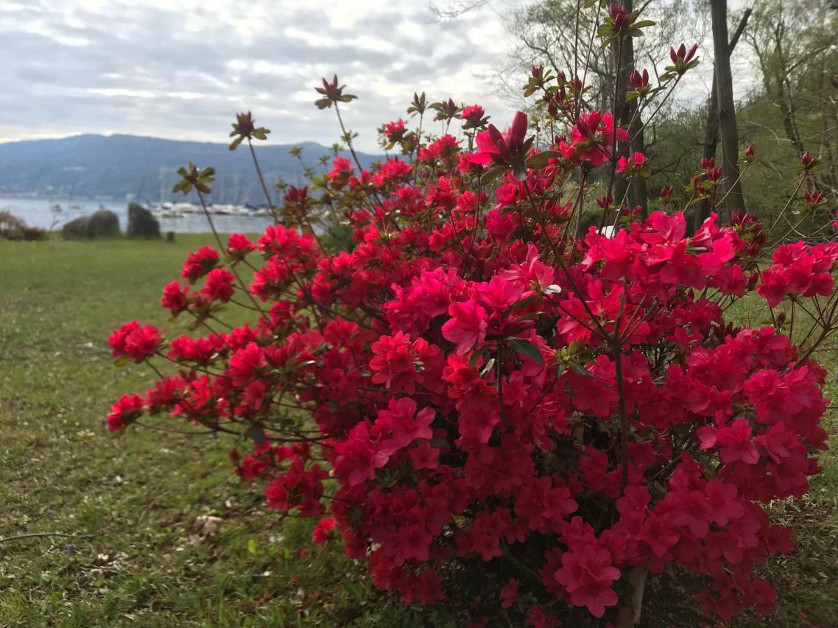 The Gulf Villa - Lago Maggiore Monvalle Exteriér fotografie